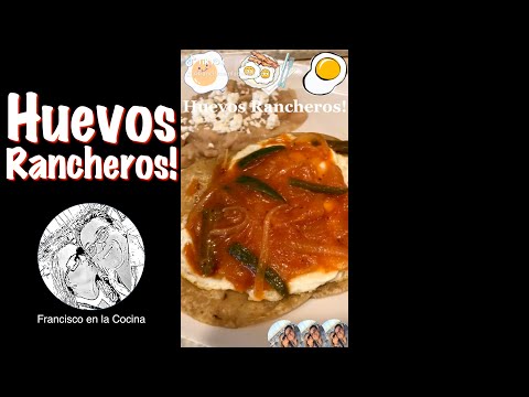 Huevos Rancheros | Shorts