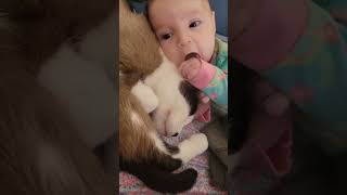 Precious Baby Cuddles With A Loving Cat