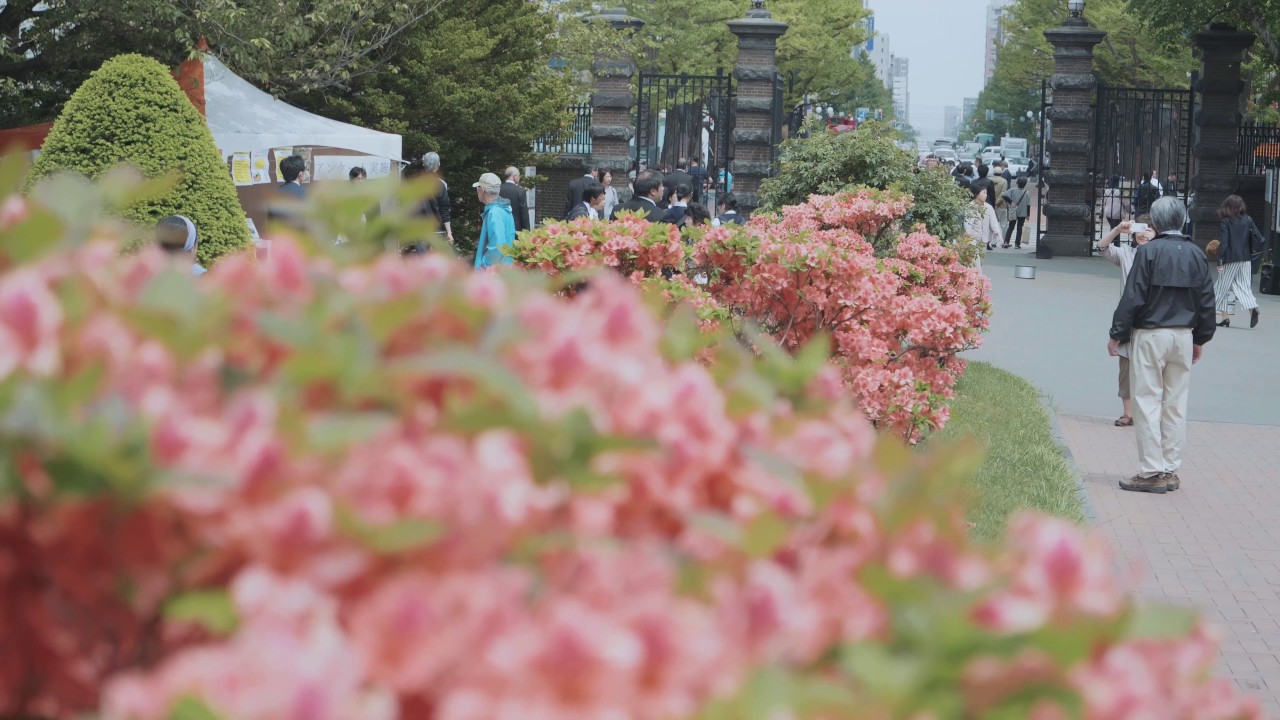 GH5 V-LogL  / Neumann Films GH5 LUTsコレクション