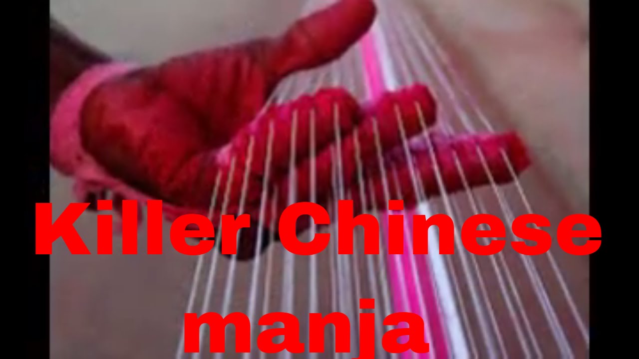 chinese manja ban in india, govt banning Chinese 'manja'