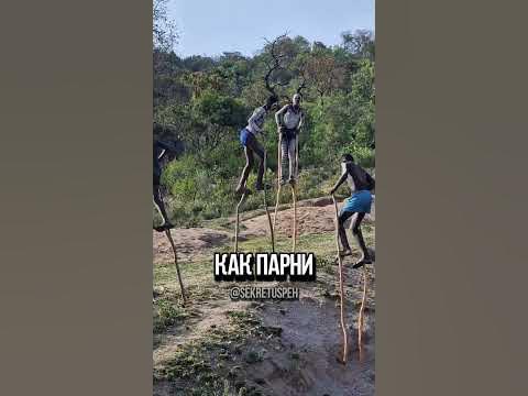 Интересное увлечение одного племени в Африке #Африка #племя # ...