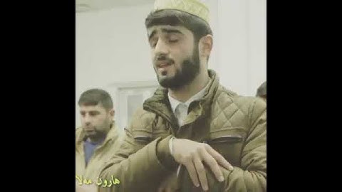 صوت رائع جدا القارئ هارون ناجي الدوسكي مقطع قصير من سورة الزمر 😍😍😍