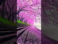 Majestic View of Cherry Blossoms in Japan  | Beautiful ? #japan #japanese #trending