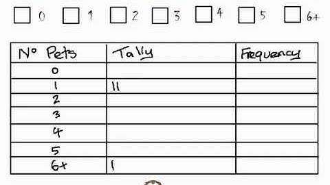 PGSMaths VLOG #06: Tally Tables and Questionnaires