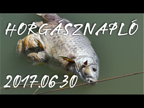 Csaba instagram Csaba instagram