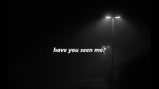 Video thumbnail of "nicole dollanganger - have you seen me? // lyric video"