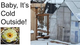 Balmy December Greenhouse in Zone 6 by Casual Gardening with Dustin 61 views 4 months ago 7 minutes, 35 seconds