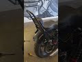 Sissy bar detachable - 2011 Harley Davidson Sportster Forty Eight 48