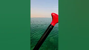 Stand Up Paddle Au Dessus Du Banc D Ambouli 