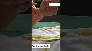 Supinator Or Brachioradialis Jerk