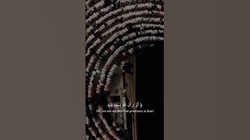 سوره مبارکه الحج آیه ﴿18﴾