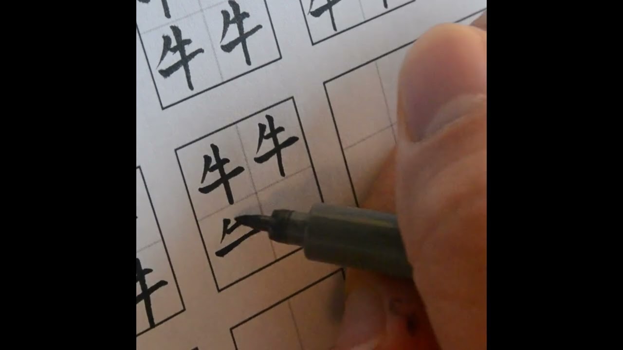 Relaxing Chinese Calligraphy Practice with Gentle Music