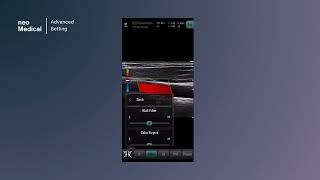 neo 3.7 Advanced settings in Color mode