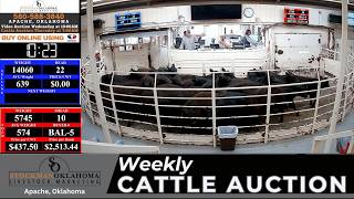 APACHE LIVESTOCK AUCTION | Weekly All-Class Cattle Auction #FeederCattle  #oklahomacattle  | 6.11.26