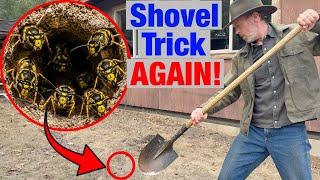 I Tried the Dumbest Way to Destroy ANOTHER Yellowjacket Nest