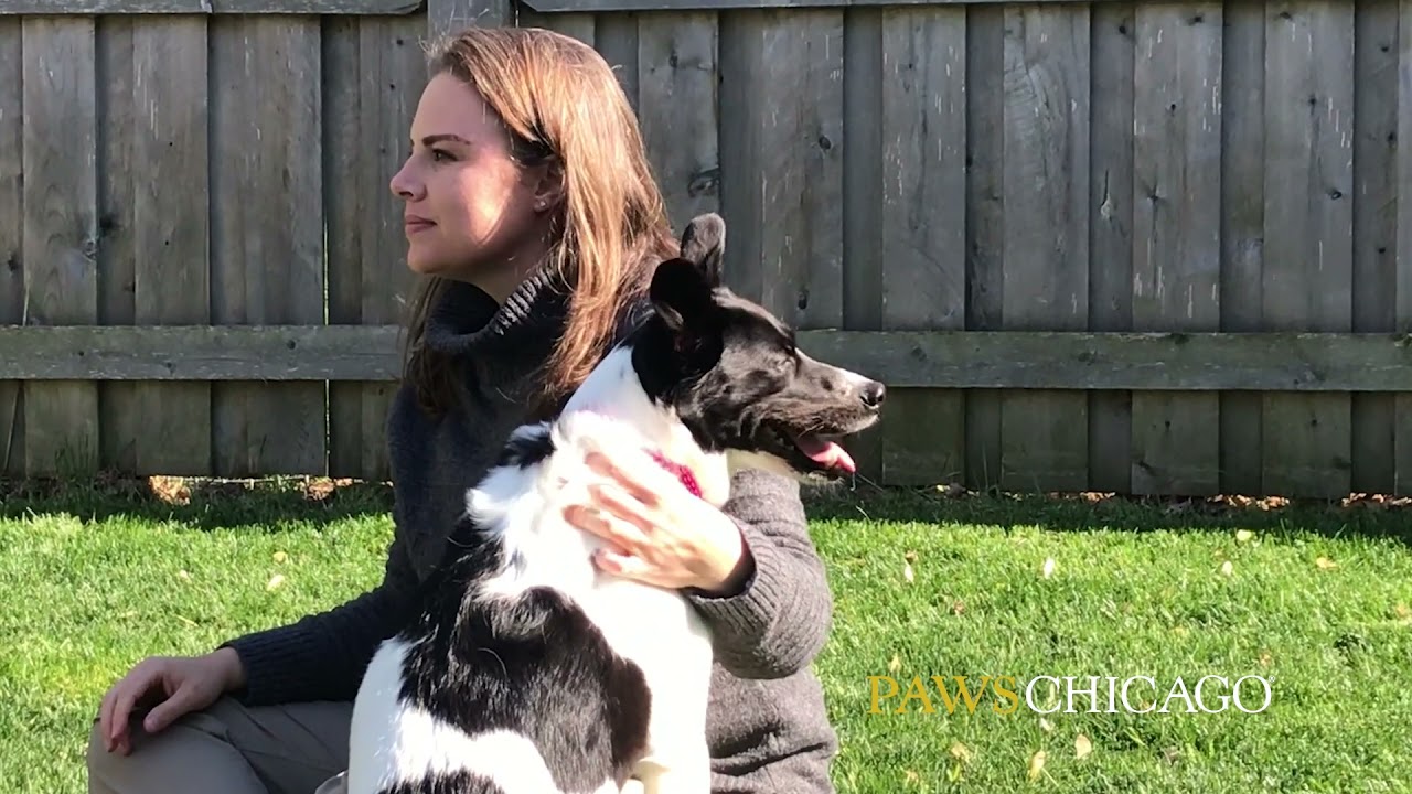 Underdog to Wonderdog: Ellie & Stephanie's Story