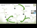 Further videos on DNA electrochemical biosensors