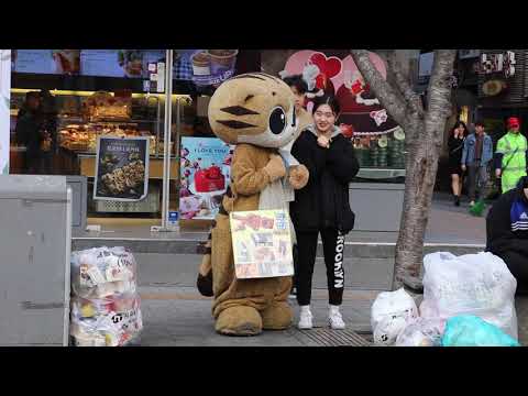 <strong>JHKTV</strong>] 신촌 명물고양이마임 아주가라고  shin chon special cat mime <strong>Go</strong> away.