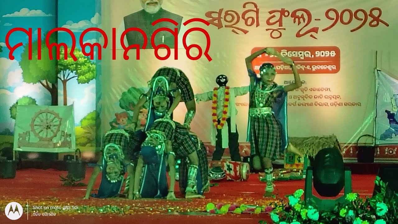 STATE LEVEL SARGIFUL 🌼 2025 ,malkanagir district group dance vdo odisha ra adivasi kala sanskruti re