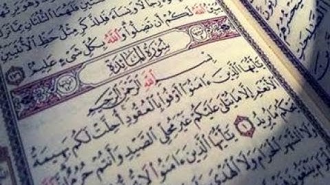 سورة المائدة للشيخ أنس جلهوم