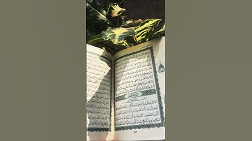 🍂فضل قراءة سورة الكهف يوم الجمعة🤲🏼#اللهم_ارحم_موتانا #quran #shortvideo #explore #اكسبلور #video
