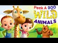 Peek a Boo - Learn Wild Animals And More Nursery Rhymes & Kids Songs | Baby Ronnie Rhymes