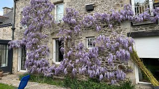 Heat, flowers and some honey!