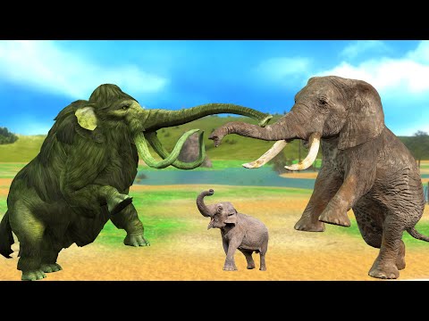Vidéo: Éléphant De Luzerne Feuillu Indescriptible