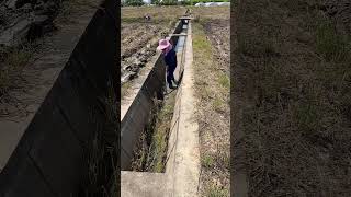 Irrigation Ditch Cleaning Process- Wisdom Tips Tools Machines Easy Easyway Easywork !