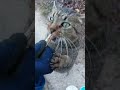 お手々添えてキビナゴ食べるチビ太君、良かったね~❤️