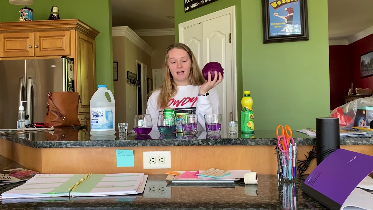 Homemade Buffer Experiment CH187 YouTube