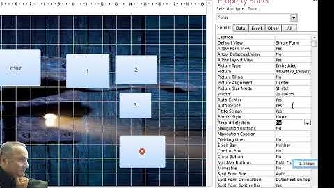 اخفاء شاشة الاكسس واظهار النماذج