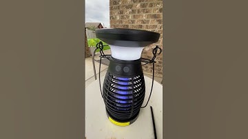 Zap Away Pesky Bugs With This Solar-Powered Bug Zapper! #bugzapper #solarlantern #solarbugzapper