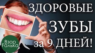 ПРОБЛЕМЫ С ЗУБАМИ? 5 ПРОСТЫХ ШАГОВ и 100% РЕЗУЛЬТАТ на долгое время ПРОБЛЕМЫ С ЗУБАМИ? 5 ПРОСТЫХ ШАГОВ и 100% РЕЗУЛЬТАТ на долгое время