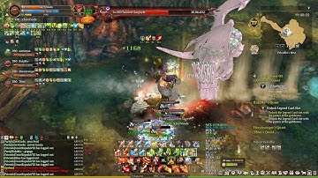 Tree Of Savior Assassin OutLaw Corsair Velcofferz