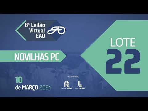 LOTE 22