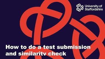 How to submit a test submission and retrieve a similarity report