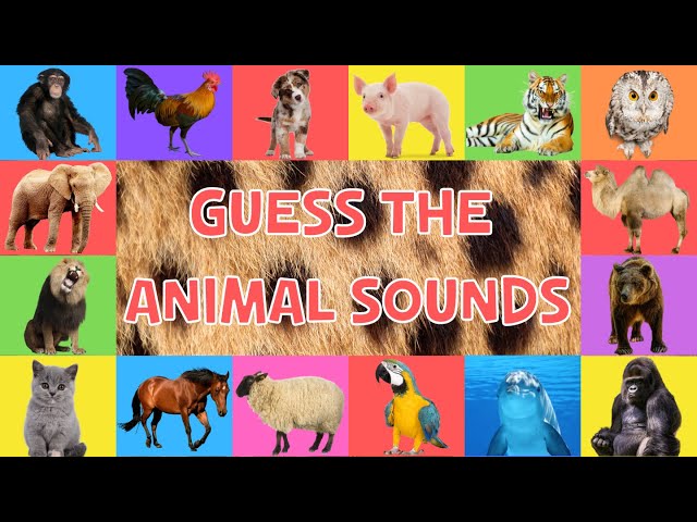 Guess The Animal Sounds For Kids | 4K class=