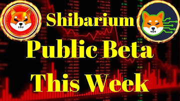 Breaking Crypto News | Shiba Inu (SHIB) Fans Rejoice: Shibarium Public Beta Launches This Week