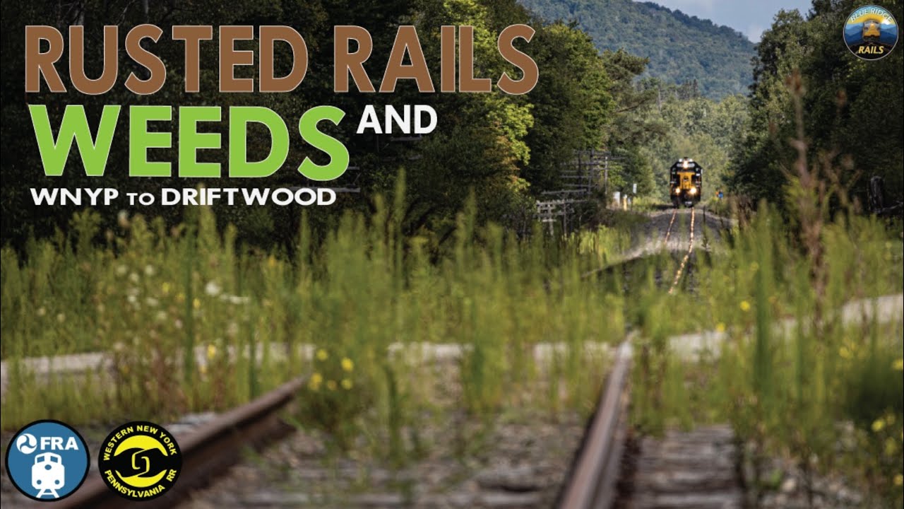 Ржавые рельсы и сорняки: от WNY&P до коряг