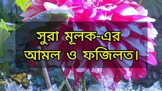 সুরা মূলক-এর আমল ও ফজিলত।