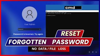 How to Reset Forgotten Password ° Windows 10 / 11 ° No File Loss ° No USB ° Reset Forgot Password