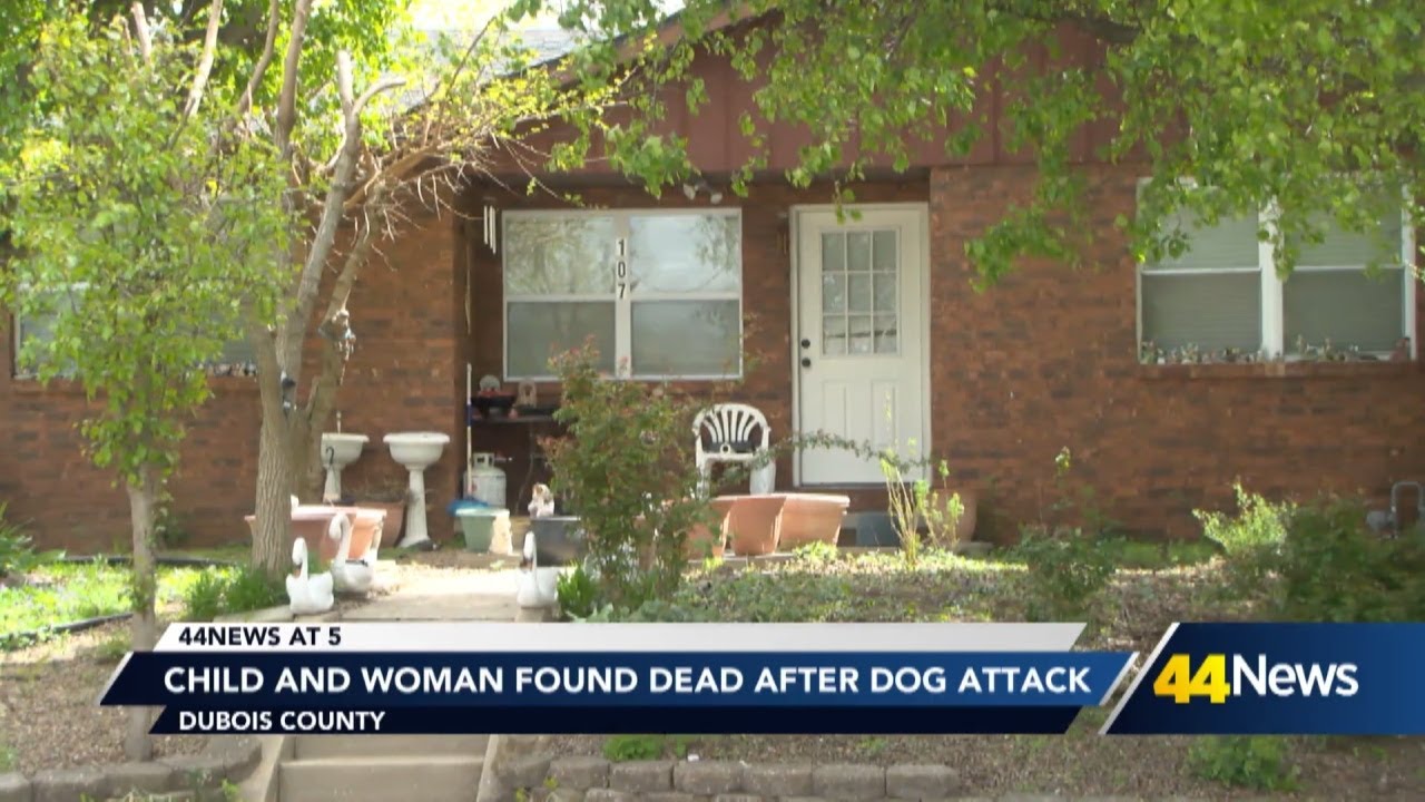 Child and woman found dead after dog attack - YouTube