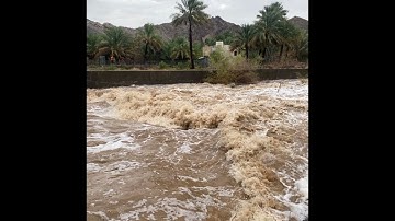 سورة الأعلى بصوت أبو نبهان محمود بن نبهان العامري