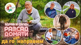 видео: Как се прави качествен и здрав разсад,кои домати са най-вкусни и как правят разсад професионалистите картинка: Как се прави качествен и здрав разсад,кои домати са най-вкусни и как правят разсад професионалистите