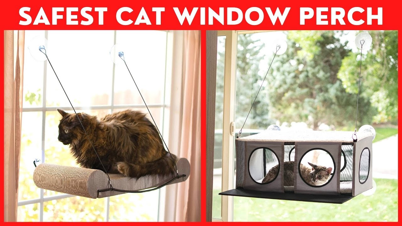 Best Cat Window Perch😻TopRated Cat Window Bed Reviews YouTube