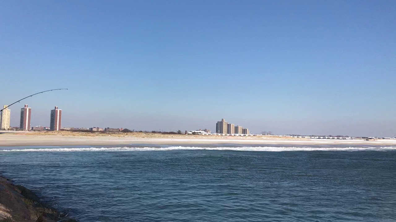 RedFish in Far Rockaway NY YouTube