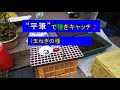 〔玉ねぎの種まき〕"平筆"と竹串でセルトレーに種蒔きする様子+ 〔玉ねぎとほうれん草の混植栽培〕周囲にはクリムソンクロバーを植えて葉玉ねぎのアザミウマ対策、底を切り取ったプラ容器をかぶせ根切り虫対策も