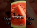 Did You Know Watermelon Was Once Medicine DreamScreenAI Did You Know Watermelon Was Once Medicine DreamScreenAI