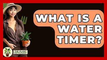 What Is A Water Timer? - The Plant Enthusiast